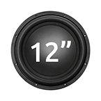 12" Subwoofer