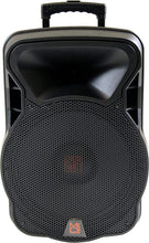 Load image into Gallery viewer, Mr. Dj DSP4000 PA DJ 15" 4000W Bluetooth DSP FM Speaker &amp; Stand