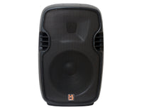 mr-dj-portable-party-speaker-with-wireless-microphone