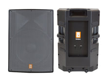 Load image into Gallery viewer, MR DJ PRO118S-G Powerful PRO PA DJ Single 18" Full Range Passive Speaker