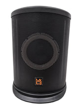 Load image into Gallery viewer, MR DJ ELITE All-In-One 8" Portable Bluetooth Line Column Array Speaker