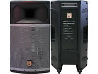 Load image into Gallery viewer, 2 MR DJ PRO115S 4000W 15" Woofer Passive Live PA DJ Speaker Monitor