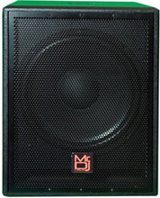 Load image into Gallery viewer, 15" 5000W Pro PA DJ Active Subwoofer Bluetooth USB with 2 Speaker Output