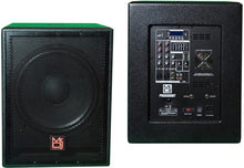 Load image into Gallery viewer, 15" 5000W Pro PA DJ Active Subwoofer Bluetooth USB with 2 Speaker Output