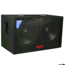 Load image into Gallery viewer, Patron PROSUB-12000 &lt;BR/&gt;Dual 18&quot; Passive DJ Subwoofer 12000 Watts Max